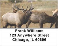 Mountain Elk Address Labels | LBBAL-11