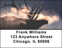 Mountain Elk Address Labels | LBBAL-11