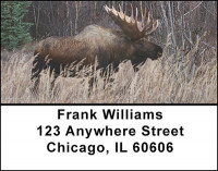 Bull Moose Address Labels | LBBAL-12