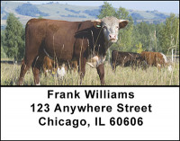 Beef Cattle Address Labels | LBBAL-17
