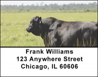 Beef Cattle Address Labels | LBBAL-17