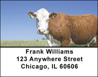 Beef Cattle Address Labels | LBBAL-17