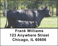 Beef Cattle Address Labels | LBBAL-17
