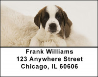 St. Bernards Address Labels | LBBAL-27