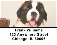 St. Bernards Address Labels | LBBAL-27