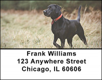 Hunting Retriever Dogs Address Labels | LBBAL-28