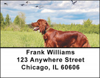 Hunting Retriever Dogs Address Labels | LBBAL-28