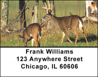 Deer in the Wild Address Labels | LBBAL-37