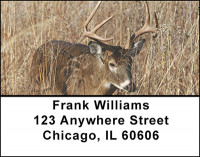 Deer in the Wild Address Labels | LBBAL-37