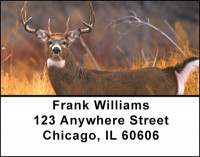 Deer in the Wild Address Labels | LBBAL-37