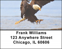 American Bald Eagle Address Labels | LBBAL-38