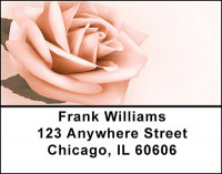Vintage Rose Address Labels | LBBAL-85