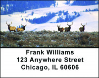Hunting Stories Address Labels | LBBAM-32