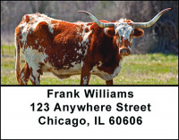 Dallas Texas Address Labels | LBBAM-47