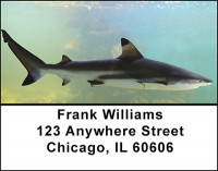 Sharks Address Labels | LBBAM-52