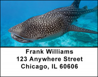 Sharks Address Labels | LBBAM-52