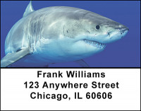 Sharks Address Labels | LBBAM-52