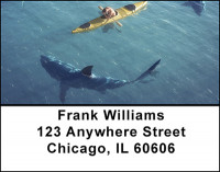Shark Attacks Address Labels | LBBAM-53