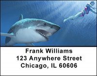 Shark Attacks Address Labels | LBBAM-53