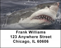 Shark Attacks Address Labels | LBBAM-53
