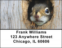 Cute Squirrels Address Labels | LBBAM-54