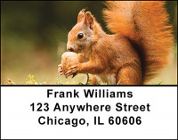 Cute Squirrels Address Labels | LBBAM-54