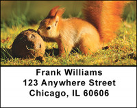 Cute Squirrels Address Labels | LBBAM-54