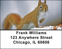 Cute Squirrels Address Labels | LBBAM-54