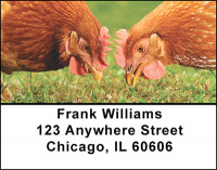 Popular Chickens Address Labels | LBBAM-58