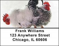 Popular Chickens Address Labels | LBBAM-58