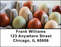 Urban Backyard Chickens Address Labels | LBBAM-59