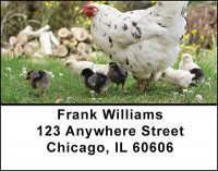 Baby Chicks & Chickens Address Labels | LBBAM-60