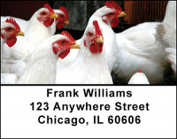 Baby Chicks & Chickens Address Labels | LBBAM-60