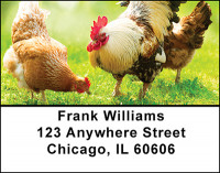 Baby Chicks & Chickens Address Labels | LBBAM-60