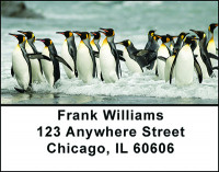 Colony of Penguins Address Labels | LBBAM-61