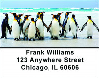 Penguins in the Arctic Address Labels | LBBAM-62