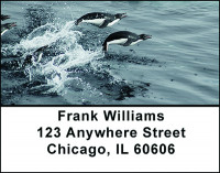 Penguins in the Arctic Address Labels | LBBAM-62