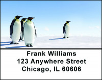 Penguins in the Arctic Address Labels | LBBAM-62