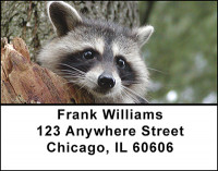 Cute Racoons Address Labels | LBBAM-63