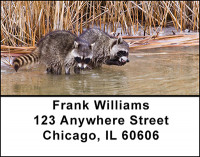 Cute Racoons Address Labels | LBBAM-63
