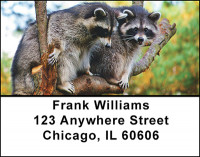 Cute Racoons Address Labels | LBBAM-63