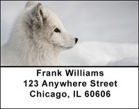 Foxy Fox Address Labels | LBBAM-64