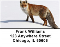 Foxy Fox Address Labels | LBBAM-64