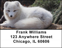 Foxy Fox Address Labels | LBBAM-64