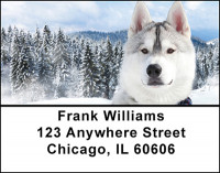 Amazing Siberian Huskies Address Labels | LBBAM-81