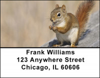 The Squirrel Address Labels | LBBAM-83