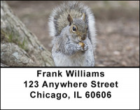 The Squirrel Address Labels | LBBAM-83