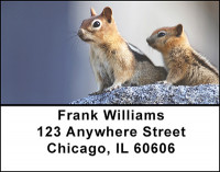 The Squirrel Address Labels | LBBAM-83