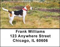 The Beagle Address Labels | LBBAM-84