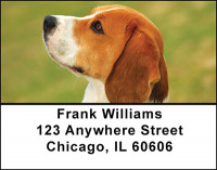 The Beagle Address Labels | LBBAM-84